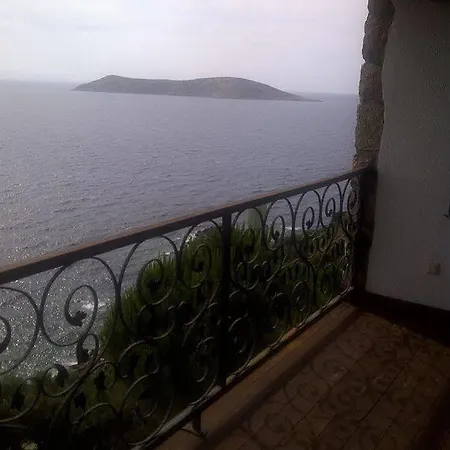 Arion 3*