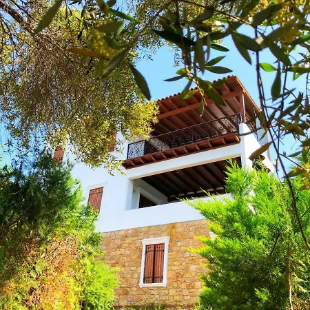 Arion Gümüşlük