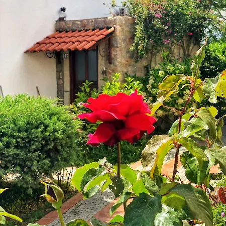 Hotell Arion Gümüşlük