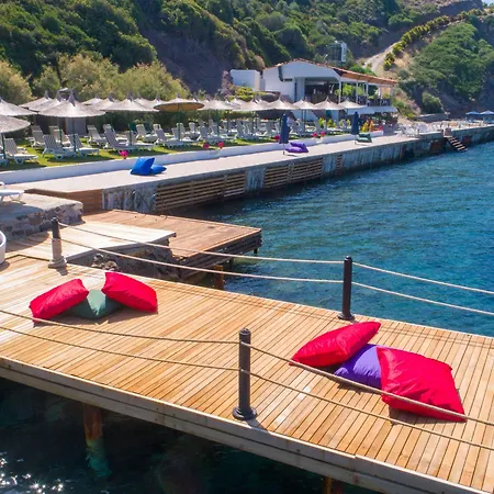 Arion 3* Gümüşlük