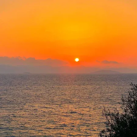 Hotel Arion Gümüşlük