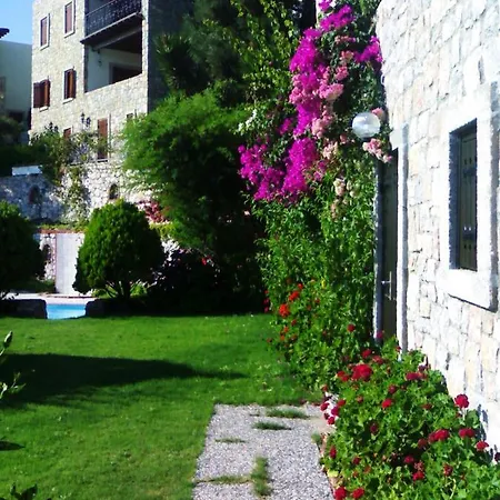 Arion 3* Gümüşlük