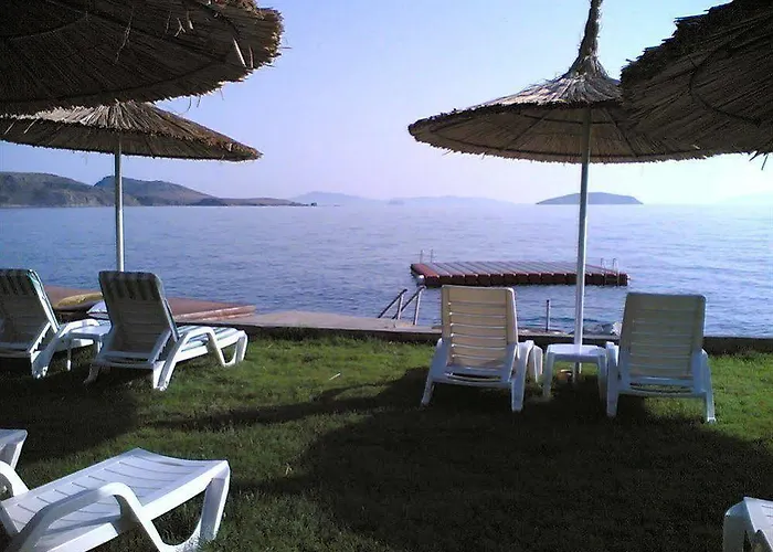 Arion Hotel