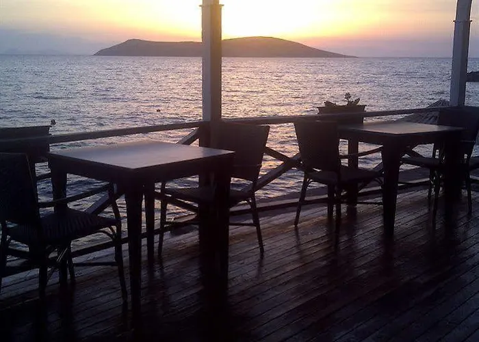 Arion Hotel 3*