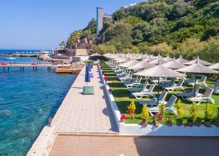 Arion Hotel Gumusluk
