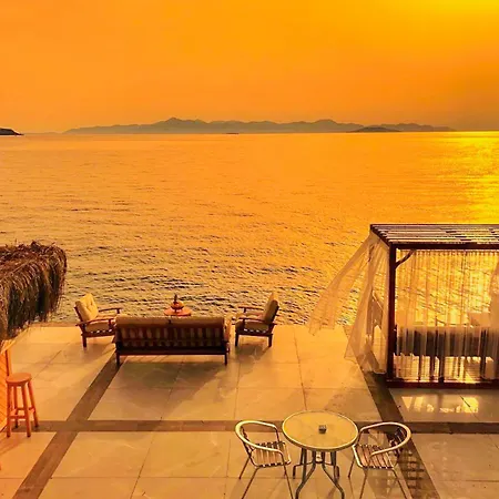 Arion 3* גומושלוק