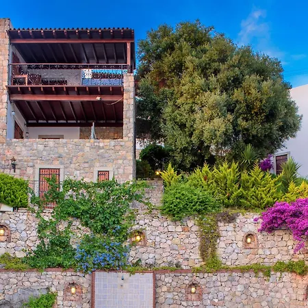 Arion מלון גומושלוק