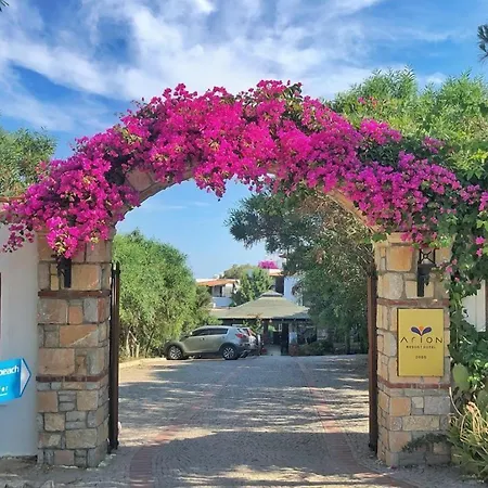 Arion גומושלוק