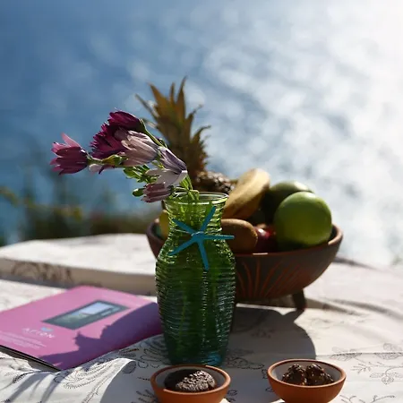 Arion גומושלוק