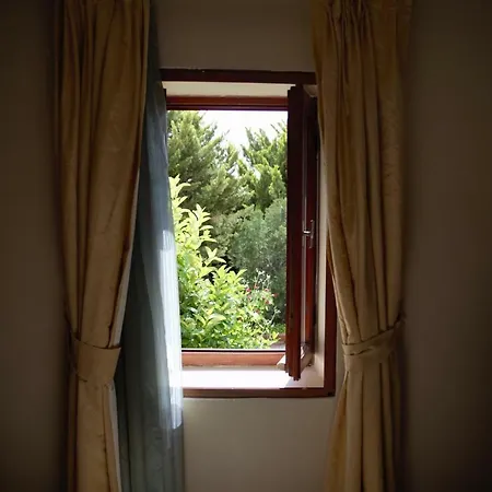 Arion 3* גומושלוק