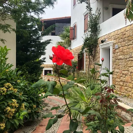 Arion Otel Gümüşlük