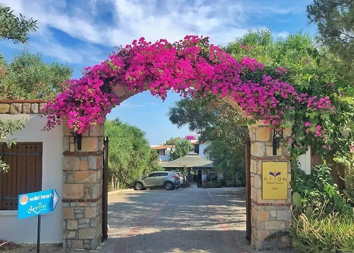 Arion ギュムシュルク