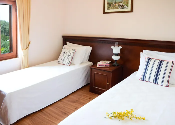 Arion 3* ギュムシュルク