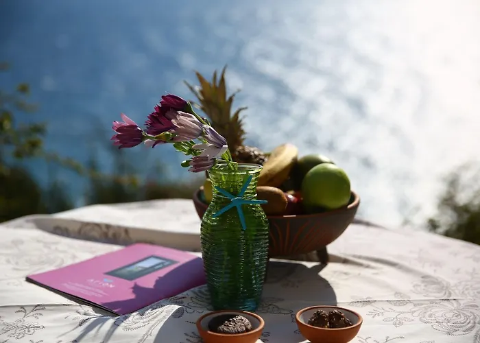 Arion ギュムシュルク