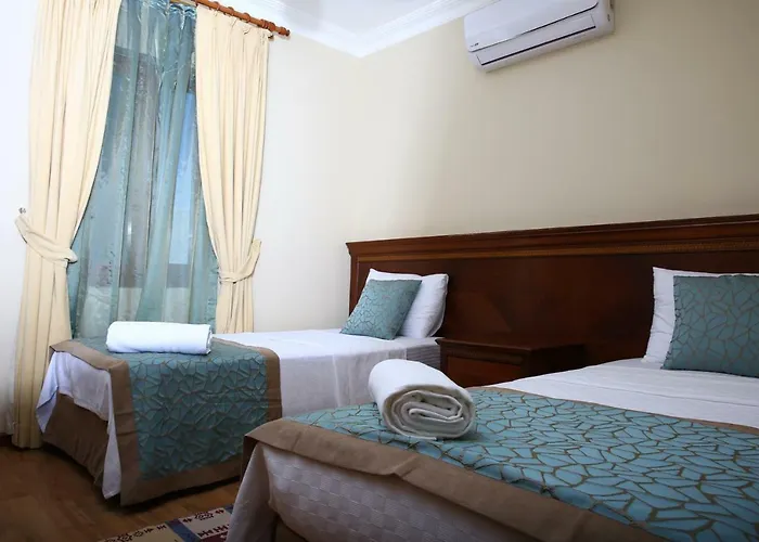 ホテル Arion ギュムシュルク