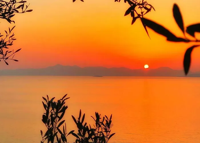 Arion ギュムシュルク