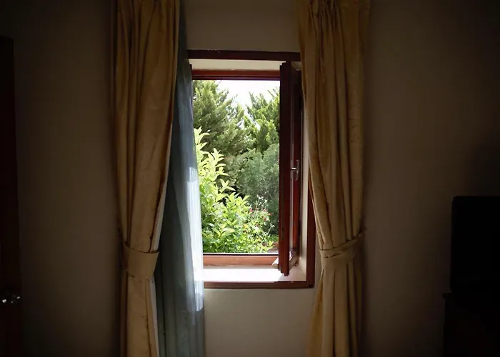 Arion 3* ギュムシュルク