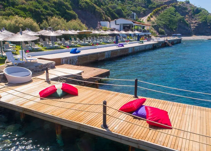 Arion 3* ギュムシュルク