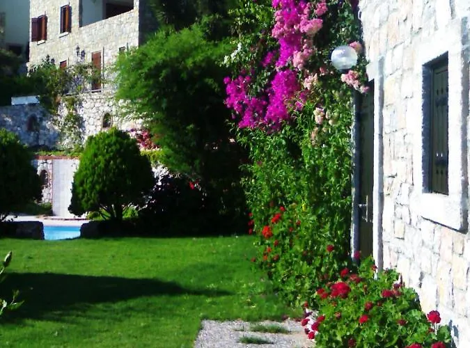 Arion 3* ギュムシュルク